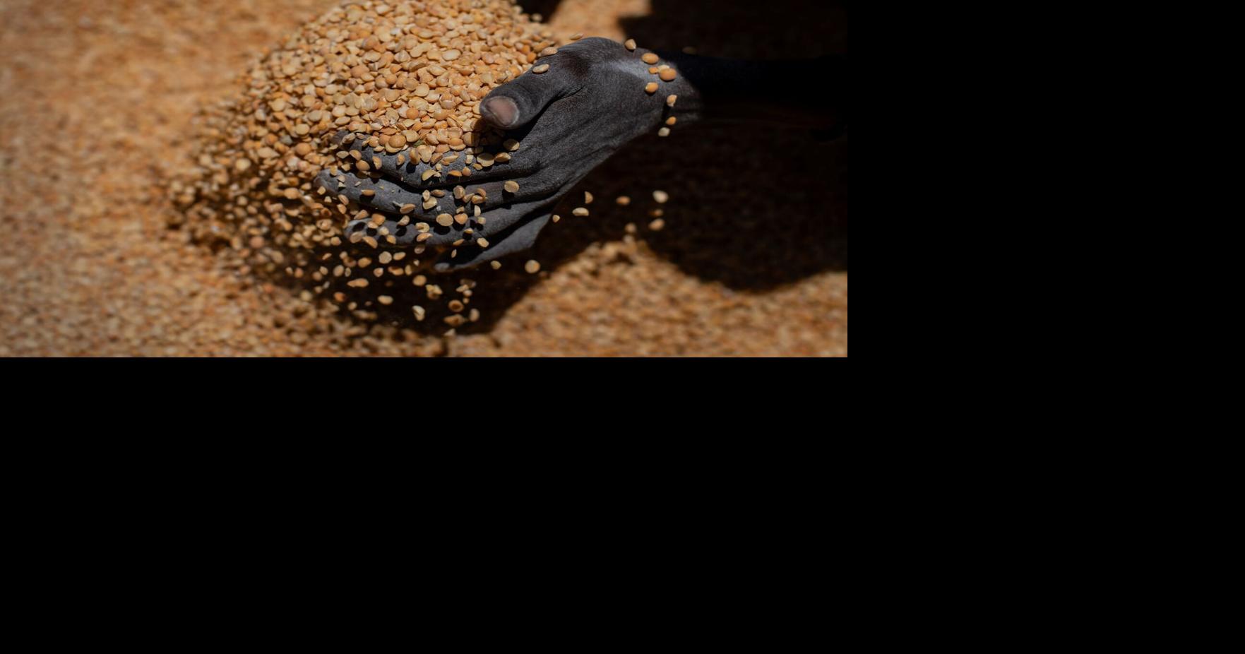 UN: Record number of people without enough to eat in 2021