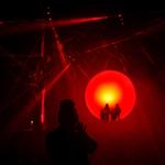 A fresh look at nature through Life Cycles