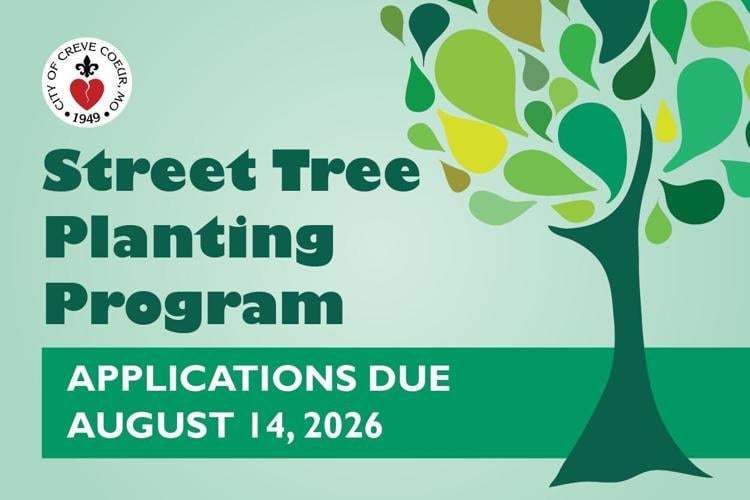 Residents Can Apply to Have a Street Tree Planted at a Shared Cost
