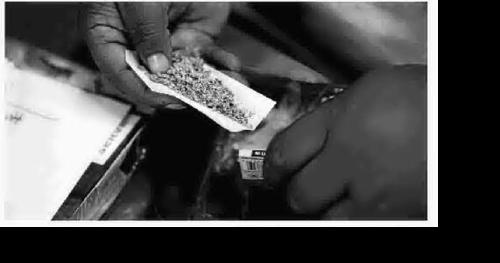 3 marijuana facilities suspended after state flags product safety concerns - Vimarsana News