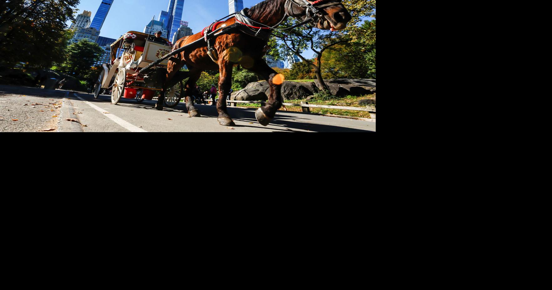 After generations, New York's horse-drawn carriages face ban Christopher Cann, Maria Tsvetkova and Dan Fastenberg USA TODAY/Reuters