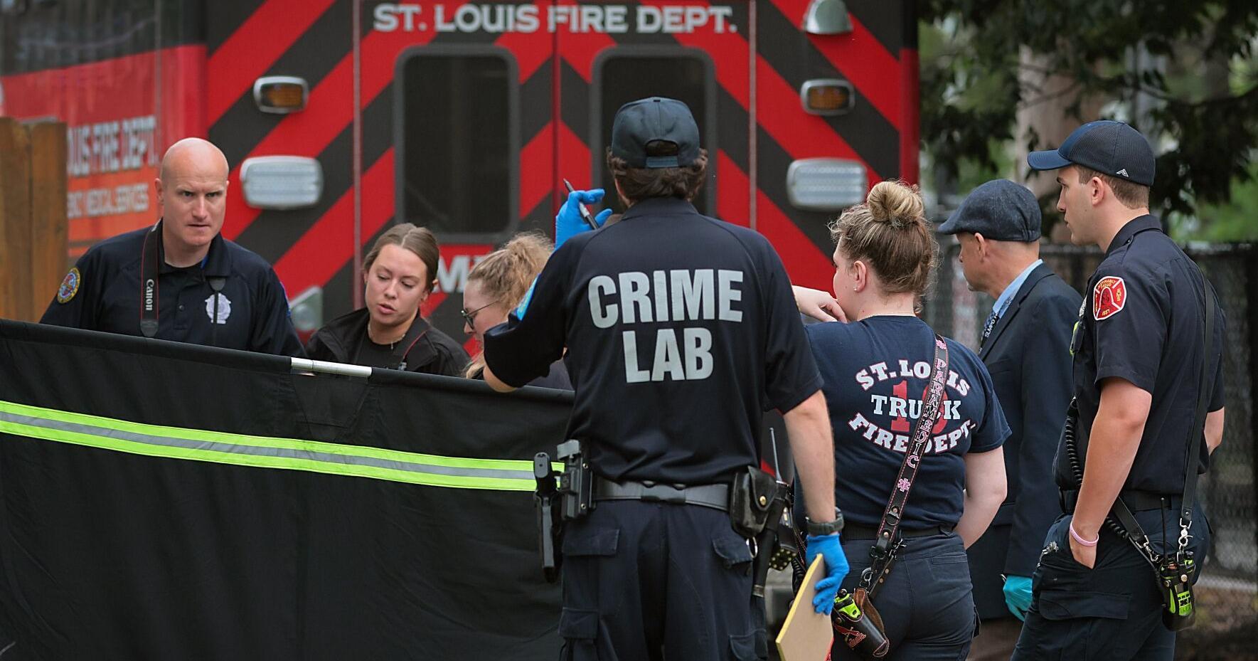 New anti-violence effort for St. Louis area to hire director - Vimarsana News