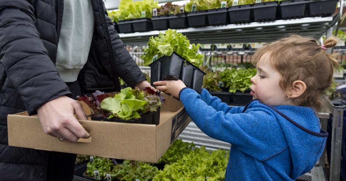 St. Louis is now Zone 7. What does that mean for spring planting?