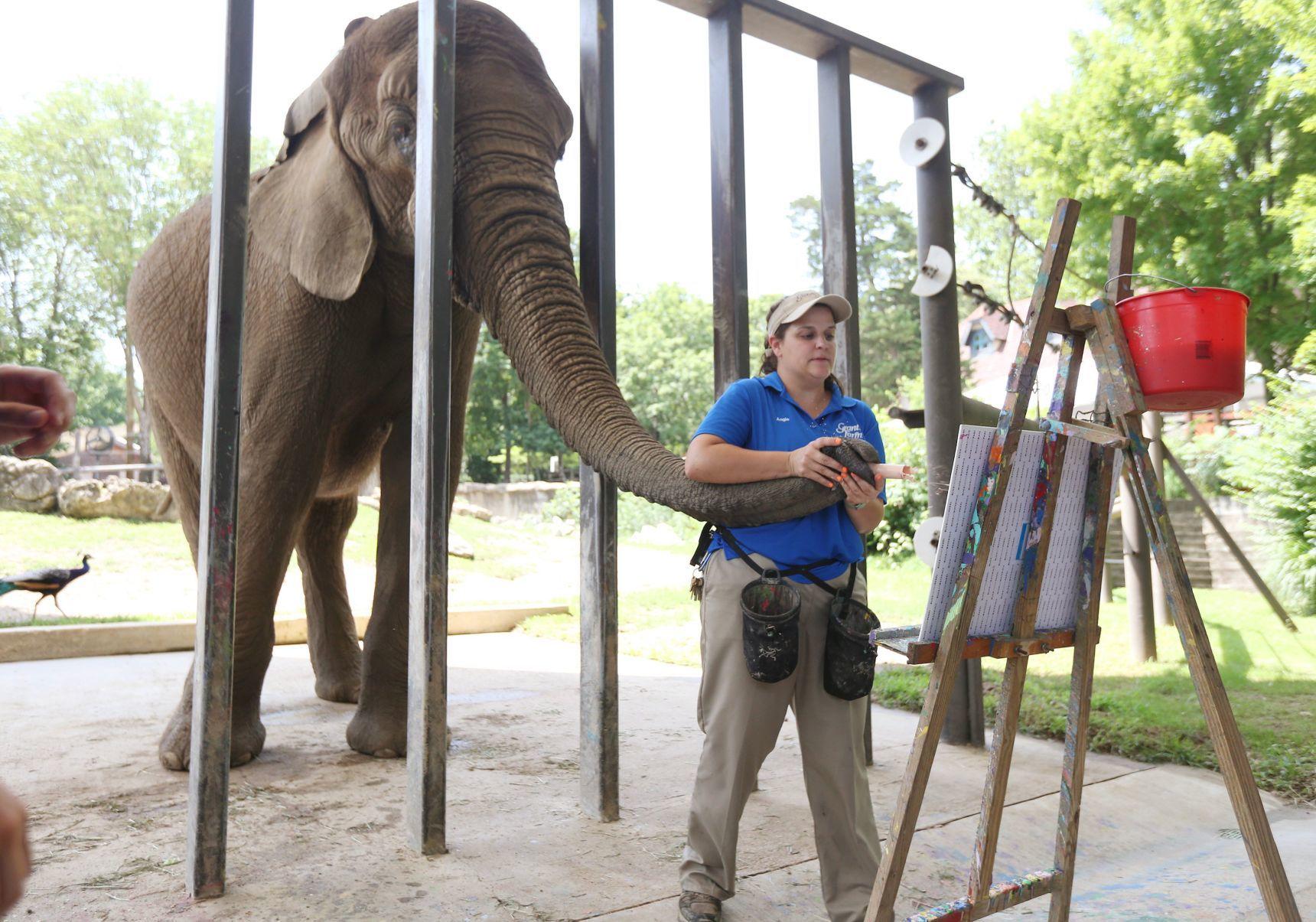 Grant's Farm will no longer house elephants after all four of them die