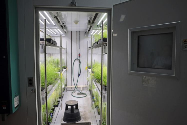 Danforth Plant Science Center president furthers the mission
