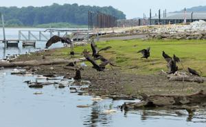 August 6 recap: St. Louis news you may have missed today