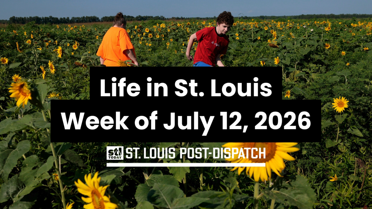 stltoday.com - Monica Obradovic | Post-Dispatch - St. Louis University medical school under federal civil rights investigation