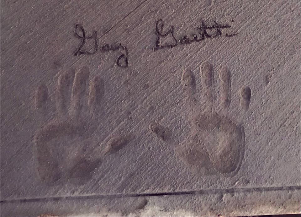 The Hands of a Golden Glover