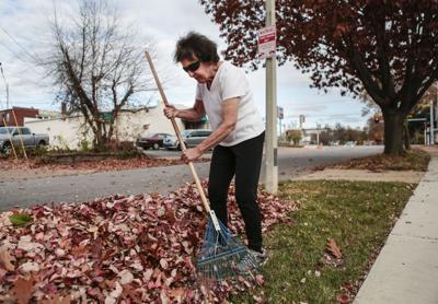 Warm weather in November in Ӱԭ