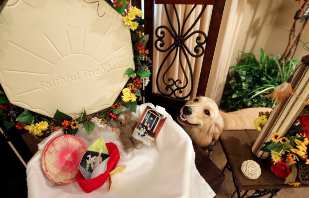 pet funeral services