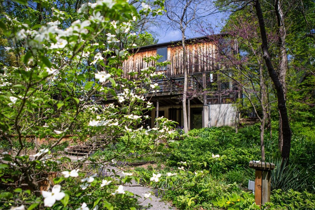 At home with Michelle Wiegand and Ben Sever in Ferguson