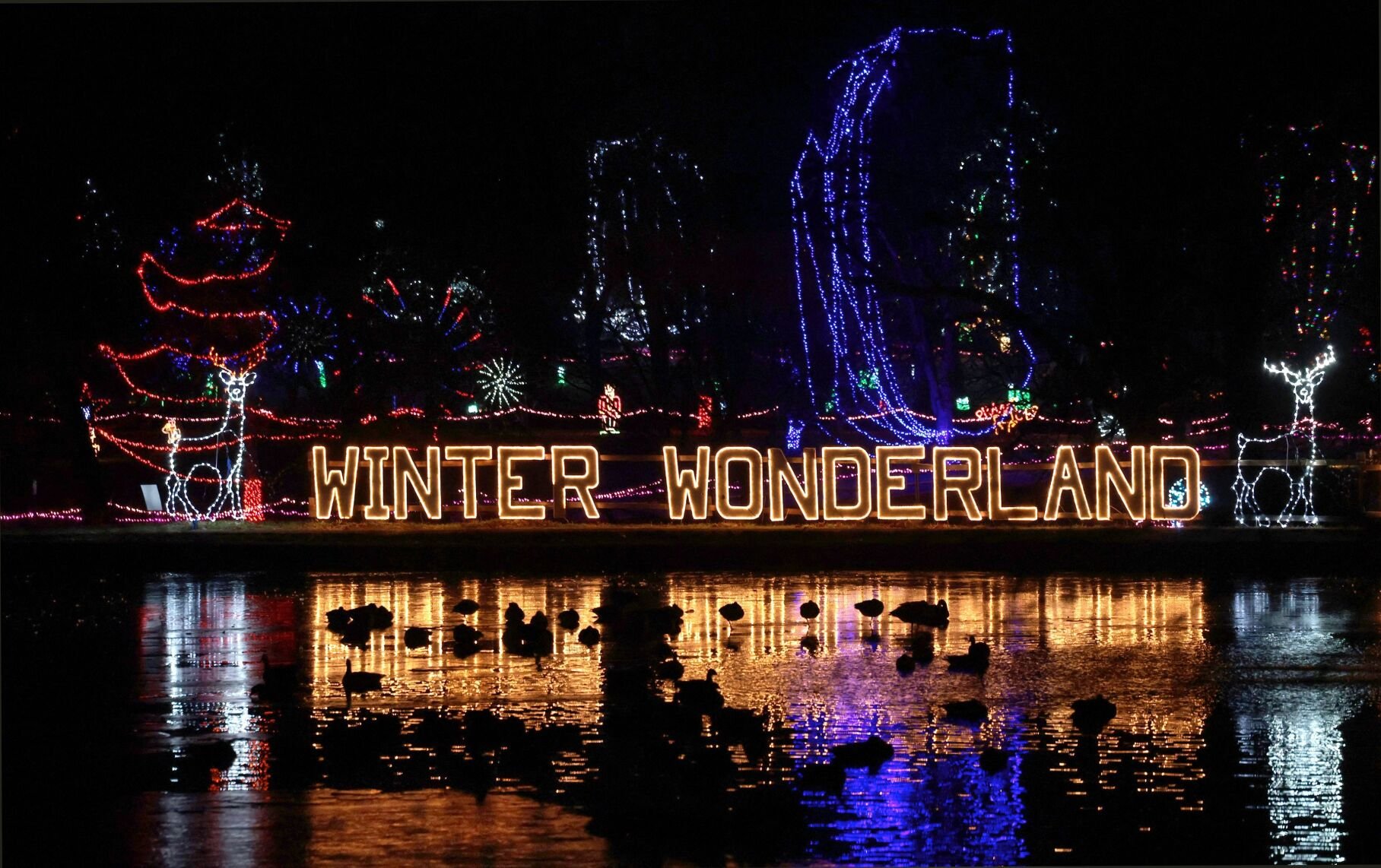 Winter Wonderland in Tilles Park
