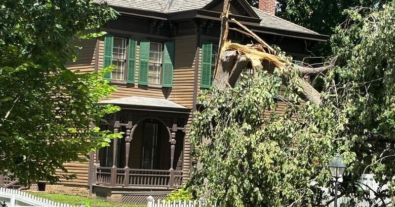 'Witness tree' in Lincoln Home area in Springfield, Ill., not salvageable, officials say By Steven Spearie | State Journal-Register