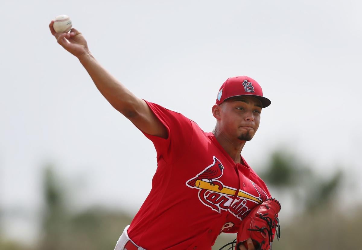 Cardinals spring training