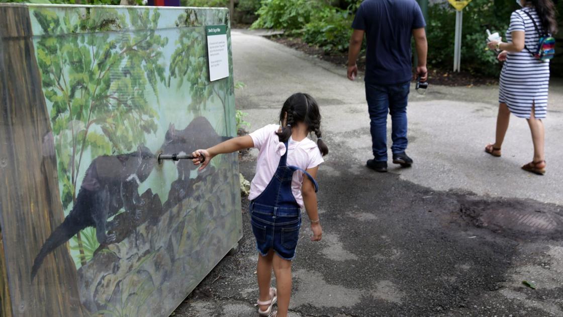 Photos: The Emerson Children&#39;s Zoo at the St. Louis Zoo announced it will close this October ...