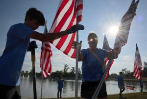 Flags of Valor memorial covers Art Hill in Forest Park