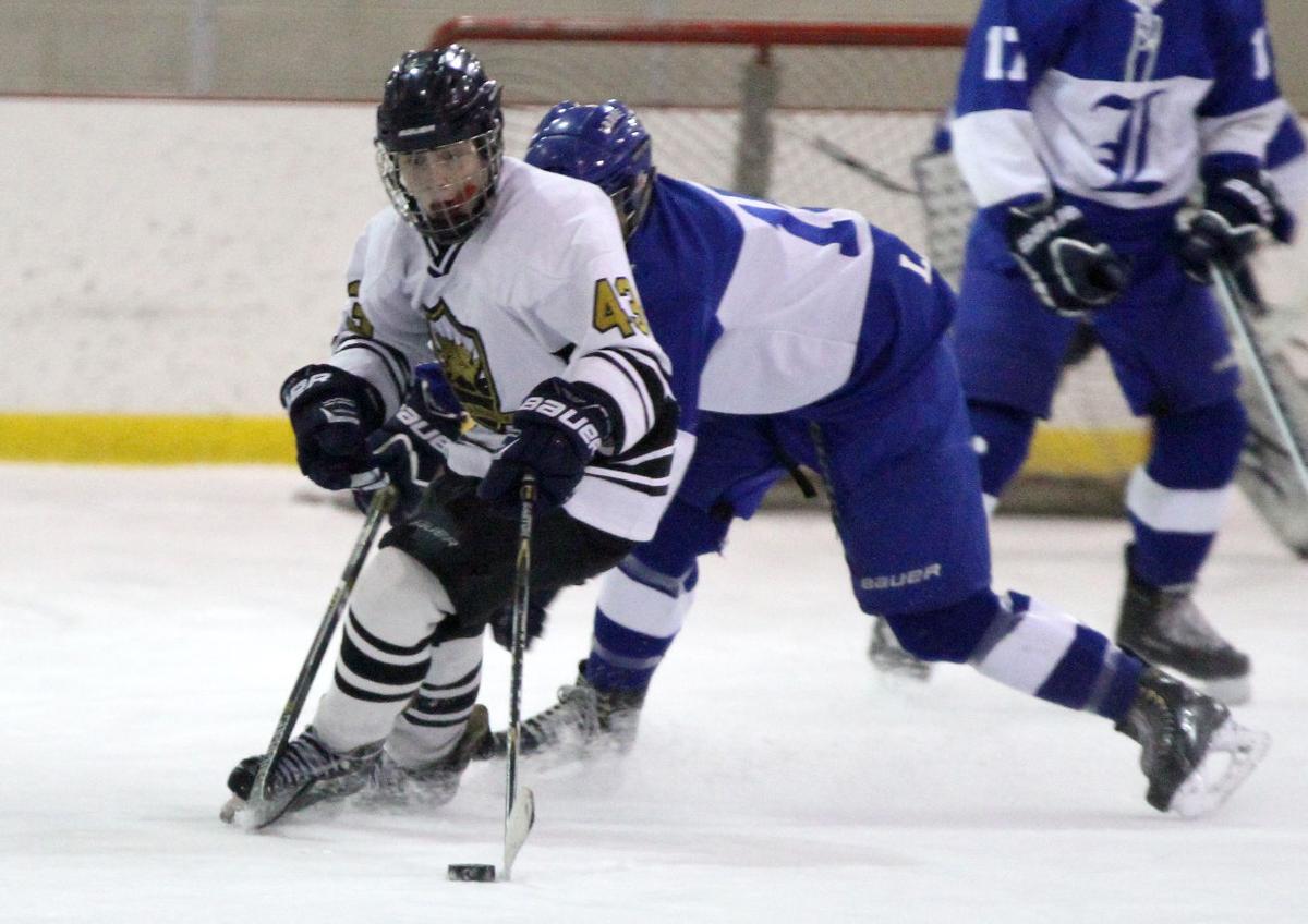 Skaggs, Zahoran help Vianney get back on winning track | High School Hockey | stltoday.com
