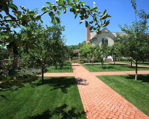 Backyard orchard ideas