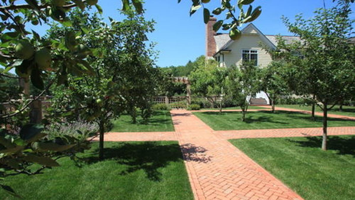 How To Plant Maintain And Harvest A Fruit Tree Home Garden