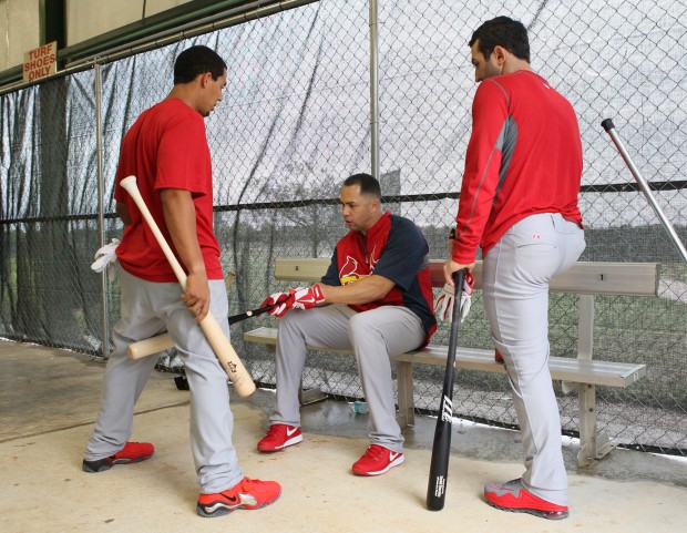 Cardinals spring training