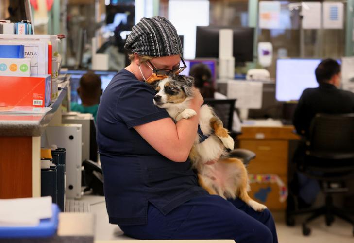 Area nurses too closer to breaking point than ever before