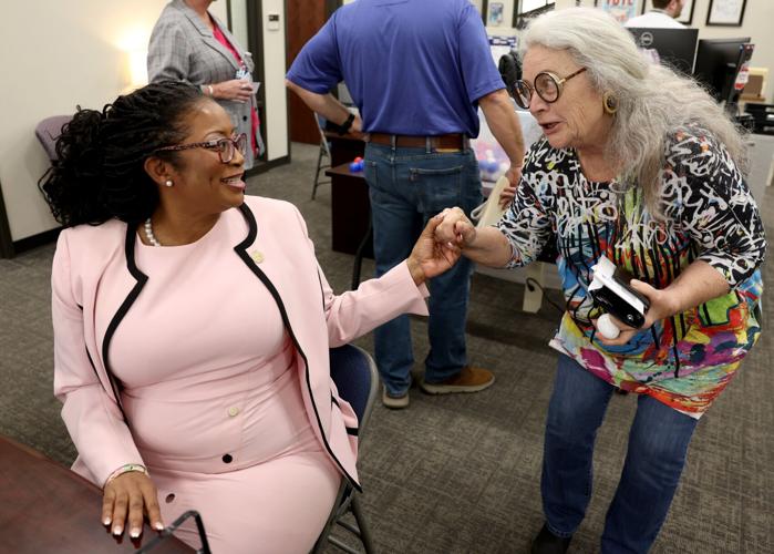 St. Louis County candidates file for office
