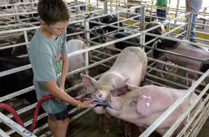 Opening Night of St. Charles County Fair