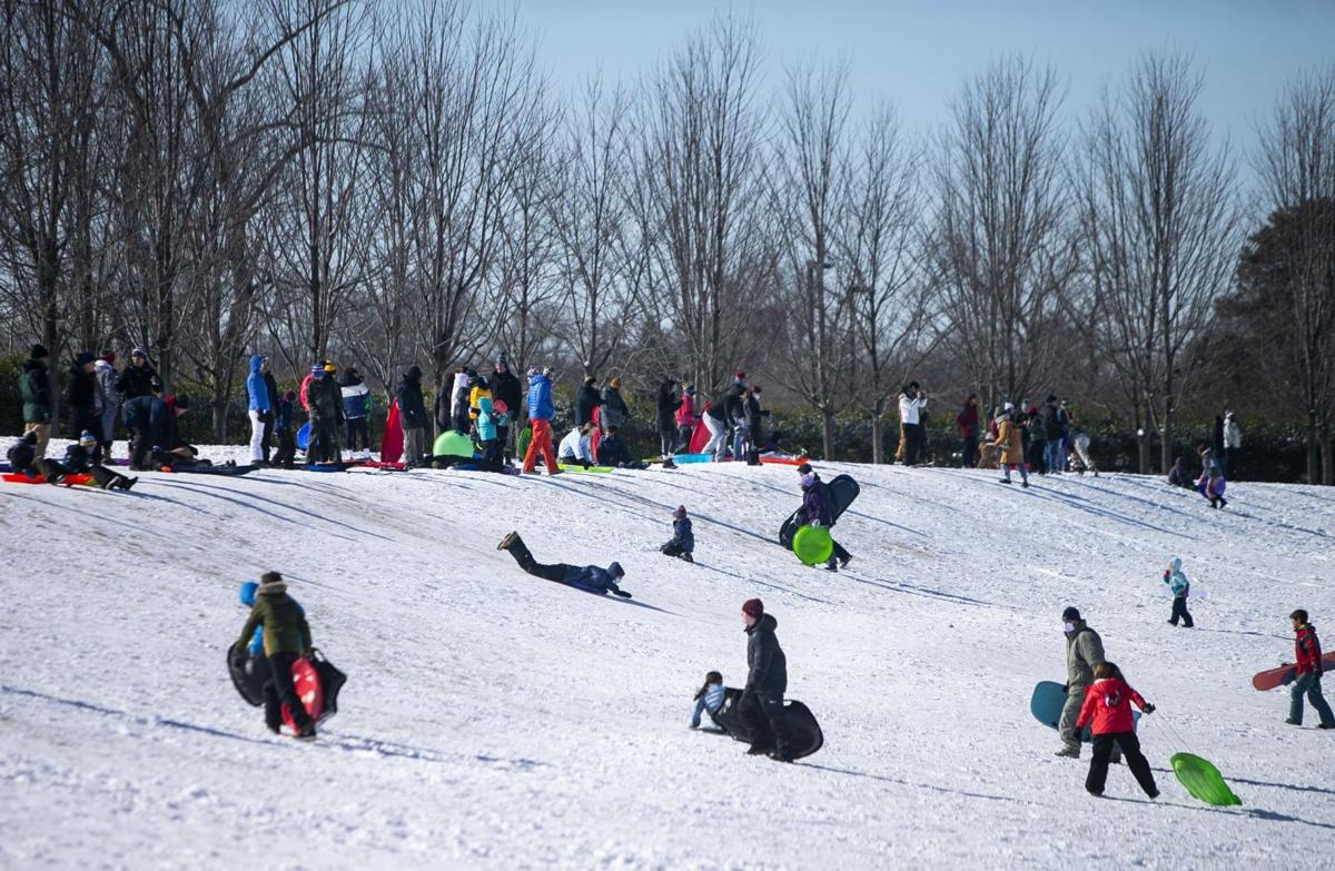 Sledding on Art Hill in Forest Park