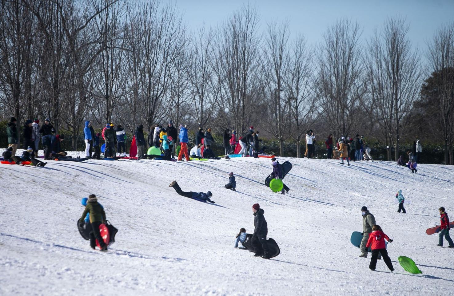 Photos Sledding on Art Hill in Forest Park