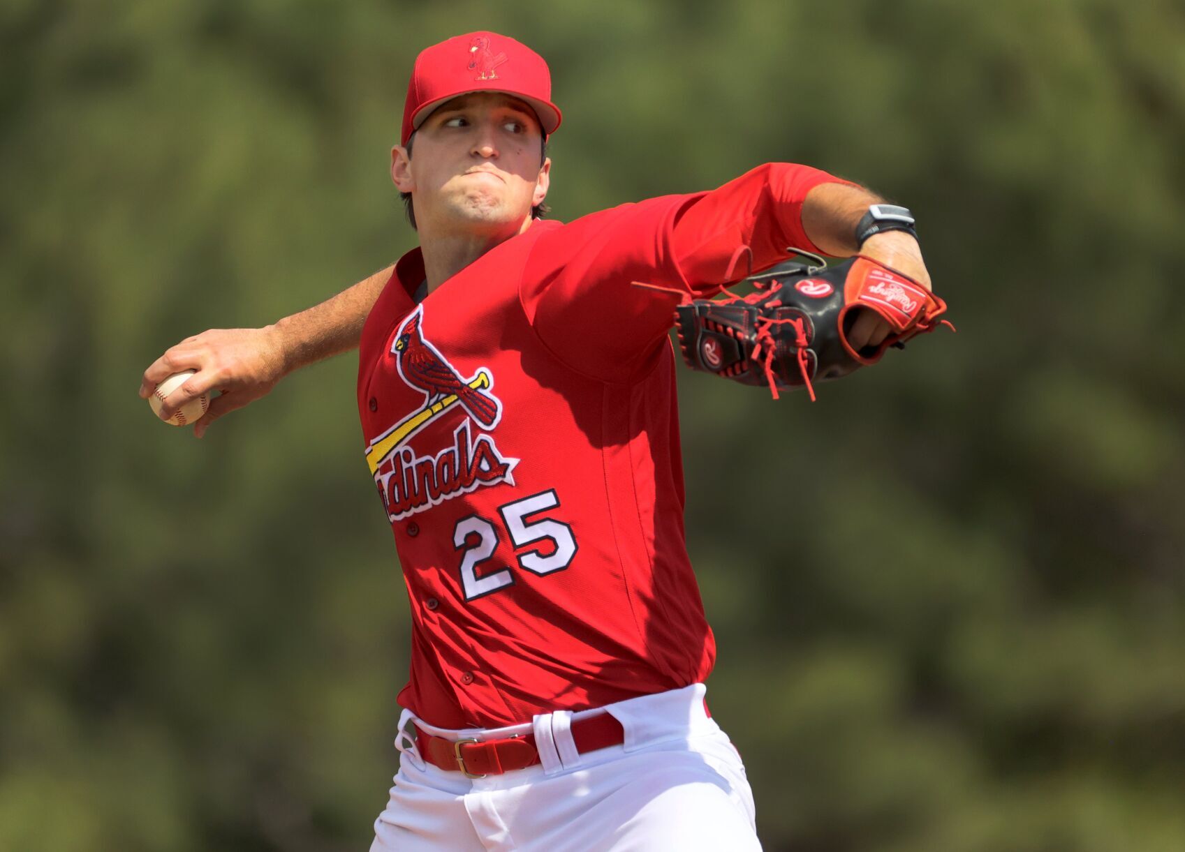 Cardinals prospect Ian Bedell getting starts; short-season affiliates ...