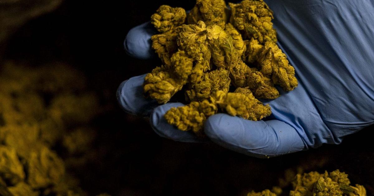 Image for article St. Louis area dispensaries owe supplier over $61K, suit says