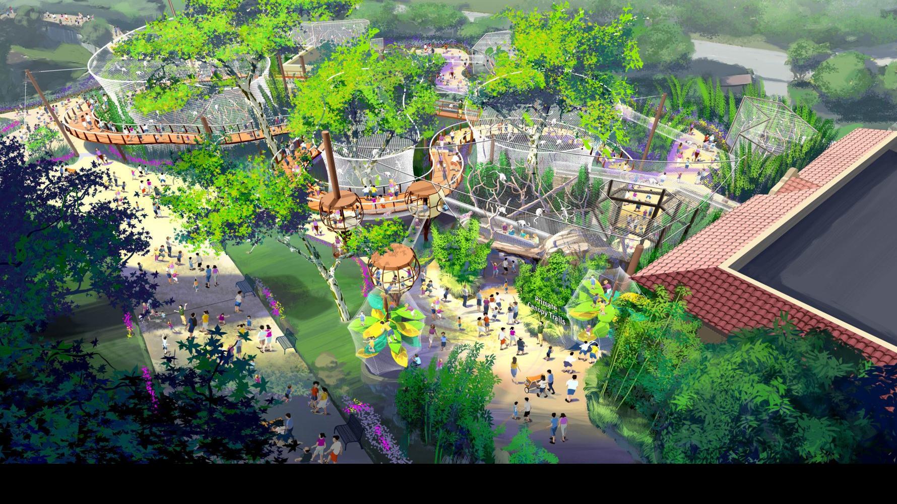 St Louis Zoo Announces New Exhibit That Will Put Primates Even Humans Outside And Into The Trees Entertainment Stltoday Com