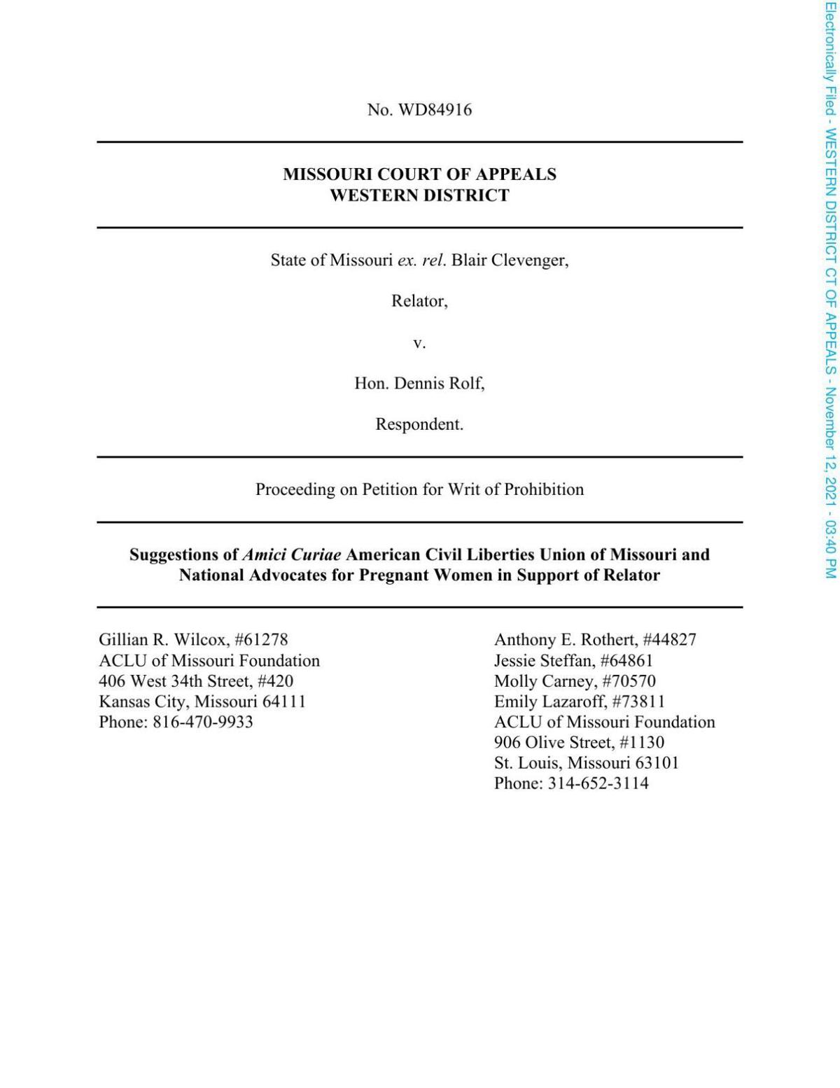 Clevenger amicus brief