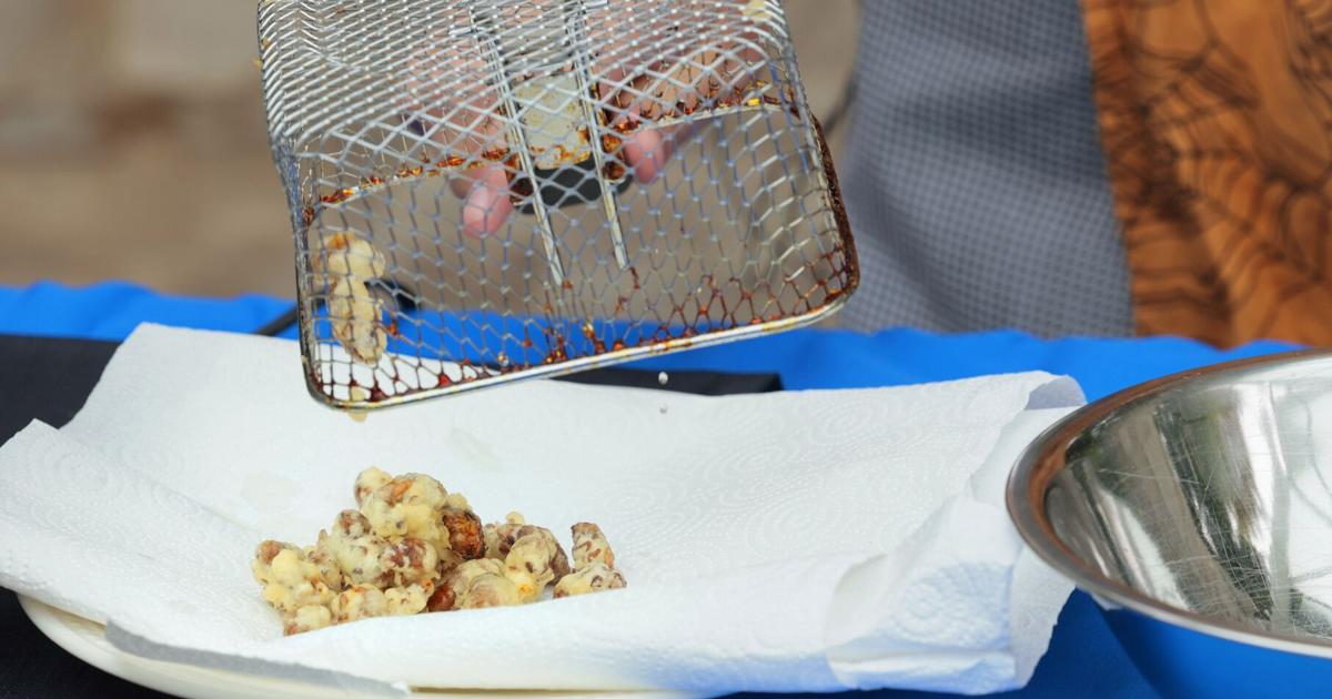 Cicadas cooked to perfection at Sachs Butterfly House