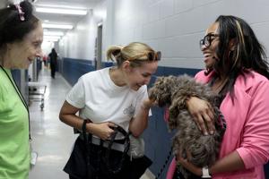 County health department director says more money needed for animal shelter