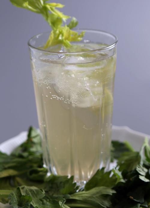 RECIPE Celery Soda Recipes