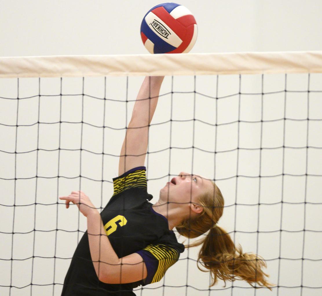 Illinois girls volleyball sectional roundup Gibault, Valmeyer set up