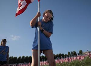 Flags of Valor memorial covers Art Hill in Forest Park