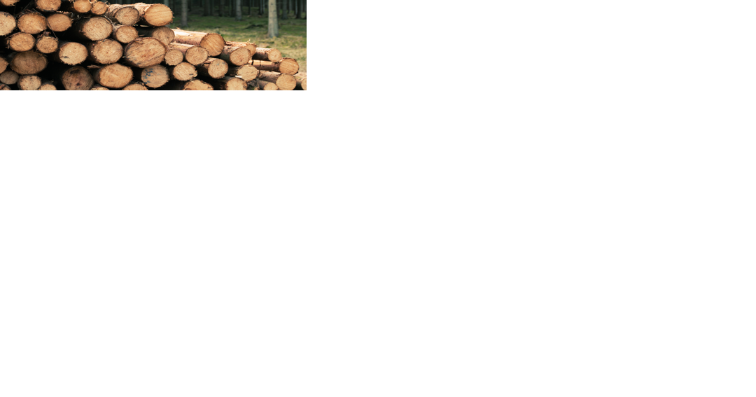 After worker death, Missouri sawmill owner cited for safety violations - Vimarsana News