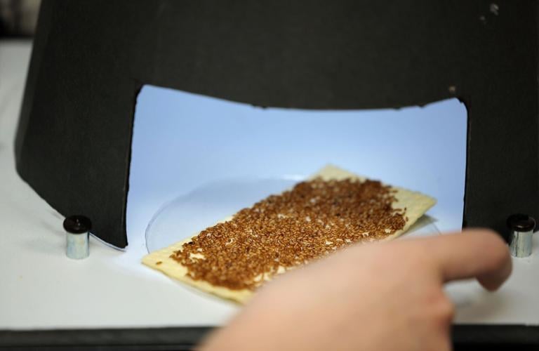 Maryland Heights company alters pest insect genes to protect crops