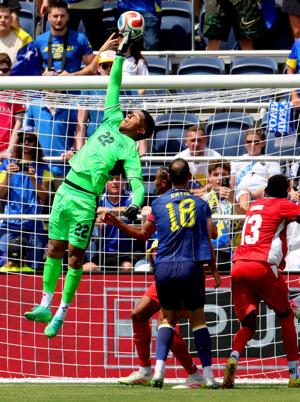 Bosnia and Herzegovina vs Panama in St. Louis