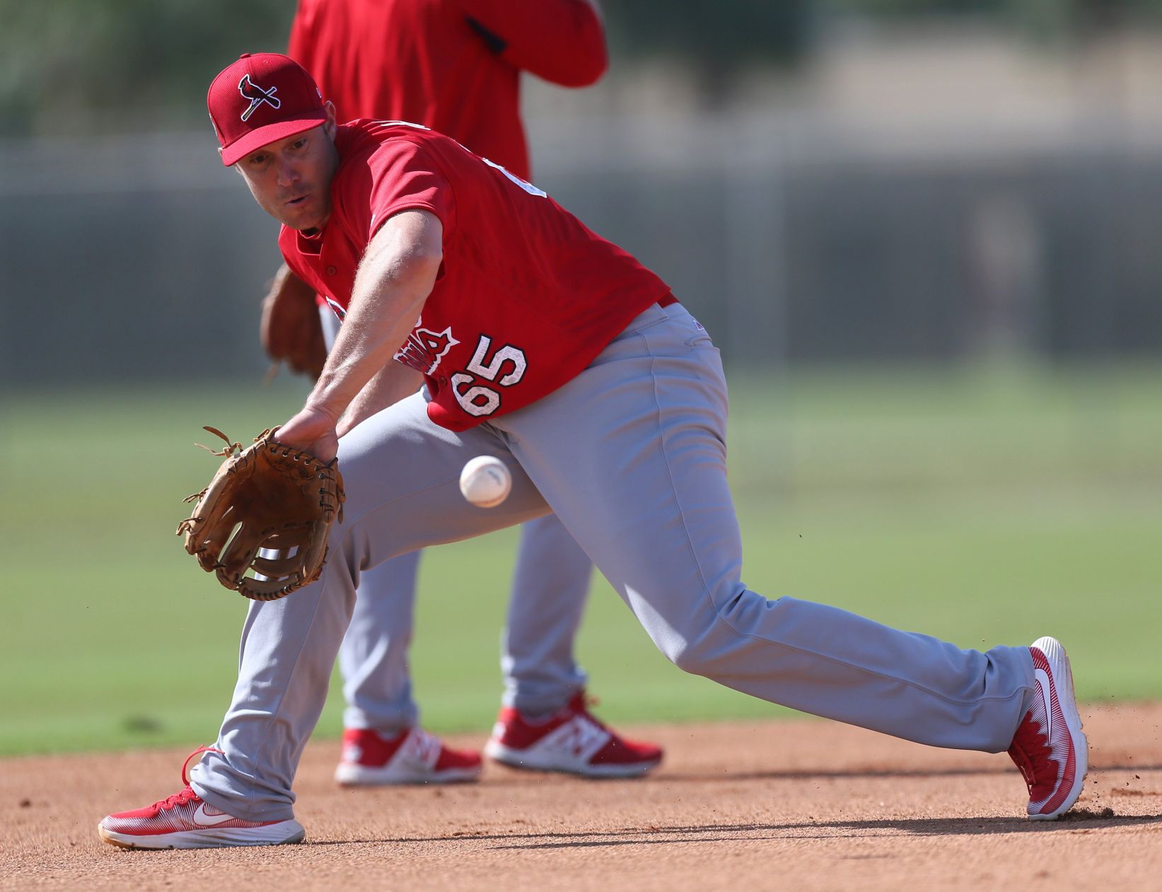 Photos From Cardinals Spring Training On Sunday, Feb. 19 | St. Louis ...