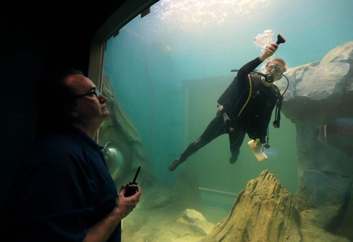 St. Louis Aquarium preps for grand opening