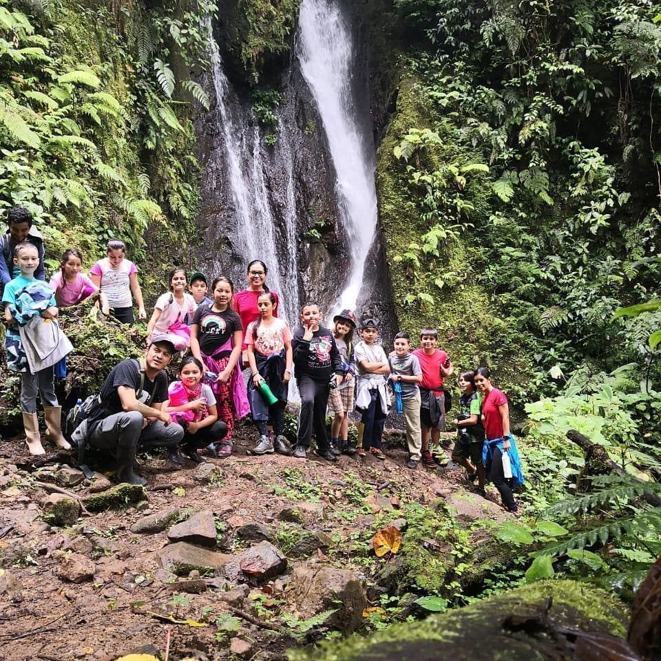 Students from Friends of the Rainforest walking through a rainforest.