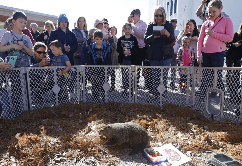 St Louis Breaks Record High On A Sunny Super Bowl Sunday Metro Stltoday Com