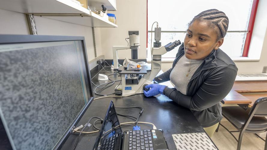 CLIMB program gives area high school students exposure to hands-on research work in UMSL labs