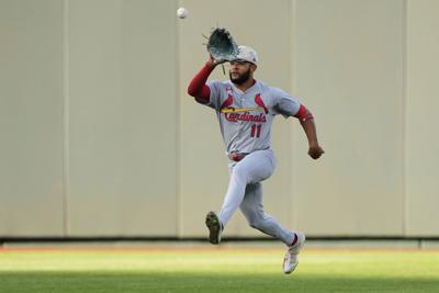 Cardinals Royals Baseball