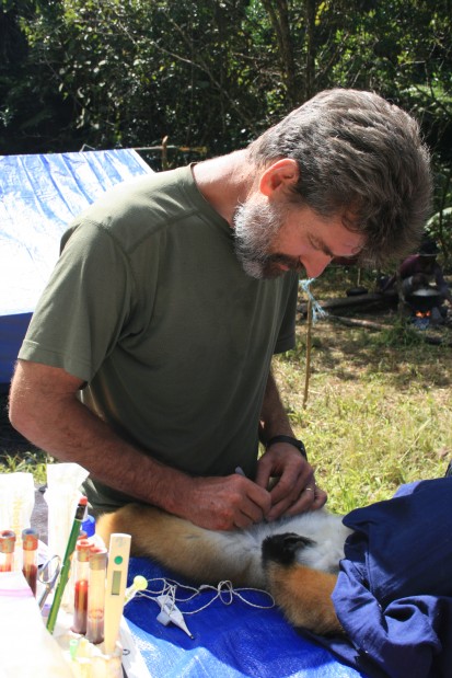 Zoo will study connections between animal, human health | Metro