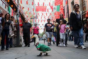 Merlin the duck: From Mexico City streets to World Cup stardom