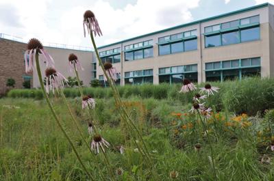 Monsanto will soon become Bayer